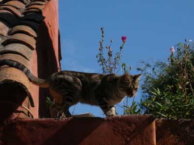 Tip Fin de semana en Colonia Uruguay Colonia del Sacramento