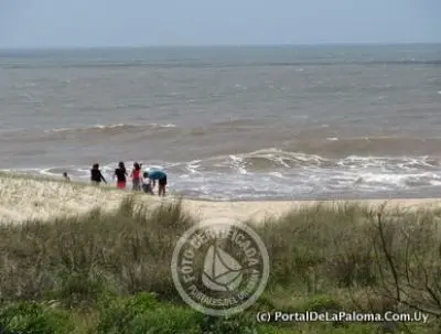 Arachania - Localidad