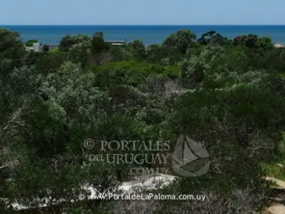 Punta Rubia - Localidad