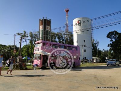 Paseos y Actividades La Pedrera La Pedrera