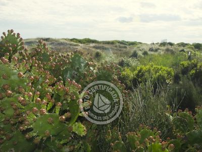 Proa al Mar - Localidades