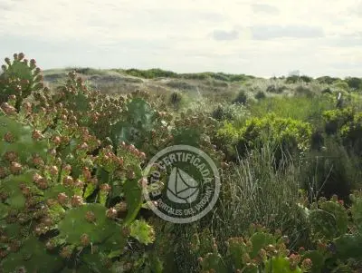 Proa al Mar - Localidades