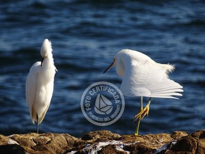 Punta Fría - Localidades
