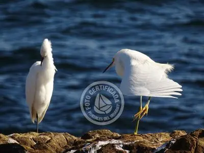 Punta Fría - Localidades