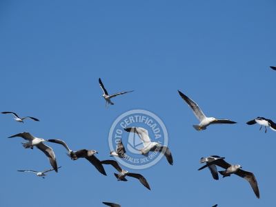 Punta Fría - Localidades