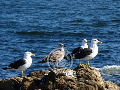 Punta Fría - Localidades