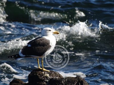 Punta Fría - Localidades