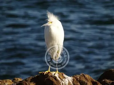 Punta Fría - Localidades