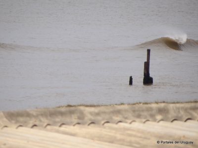 Oceanía del Polonio - Localidades