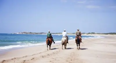 Inmobiliaria Surmontes - Punta del Diablo