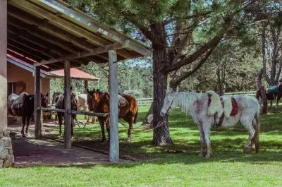 Inmobiliaria Surmontes - Punta del Diablo