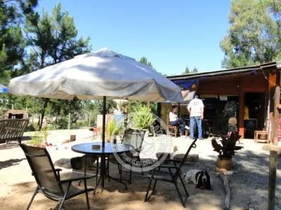 Supermarkets markets and supplies MiniMercado El Pirata Carmelo