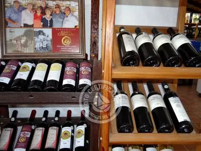 Restaurant Restaurant María María Conchillas