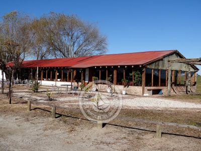 Restaurant Restaurant María María Conchillas