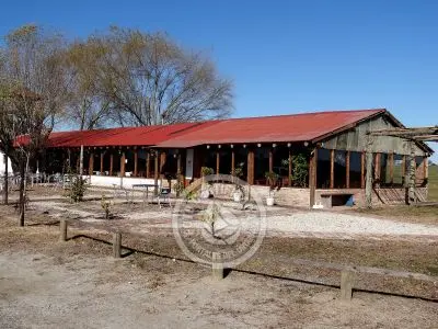 Restaurant Restaurant María María Conchillas