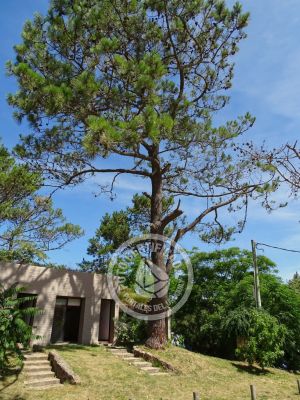 Casa Miraverde - 1 dorm. al frente Punta Colorada