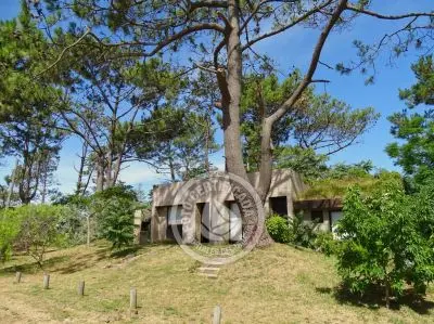 Miraverde - 1 dorm. al frente