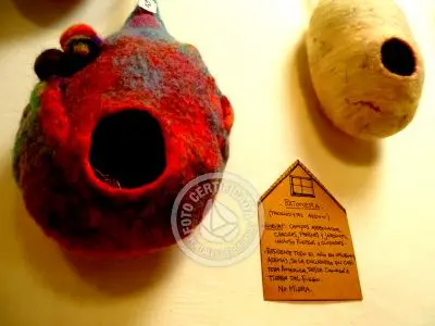 Artesanato DesdelPie Valizas