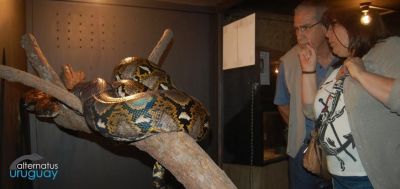 Paseos y Actividades Alternatus Uruguay - Criadero de reptiles Piriápolis