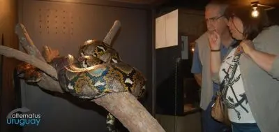 Outdoor activities Alternatus Uruguay - Criadero de reptiles Piriapolis