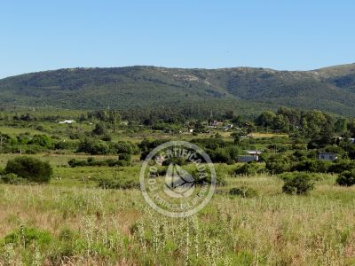 Terrenos Postales del Pittamiglio Las Flores