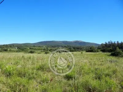 Terrenos Postales del Pittamiglio Las Flores
