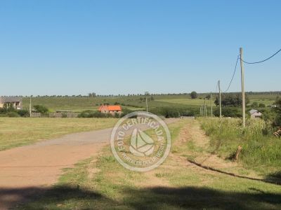 Terrenos Postales del Pittamiglio Las Flores