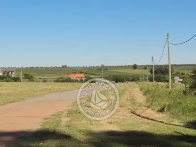 Terrenos Postales del Pittamiglio Las Flores