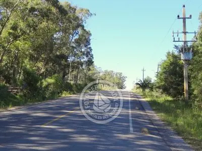 Terrenos Postales del Pittamiglio Las Flores