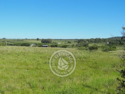 Terrenos Postales del Pittamiglio Las Flores