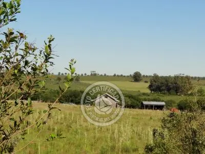 Terrenos Postales del Pittamiglio Las Flores
