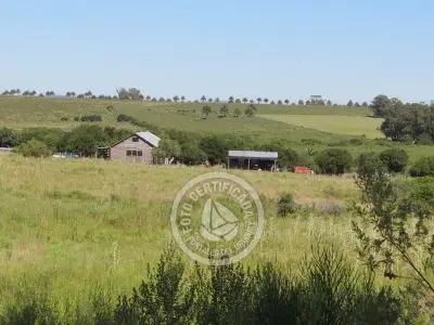 Terrenos Postales del Pittamiglio Las Flores