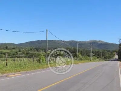 Terrenos Postales del Pittamiglio Las Flores