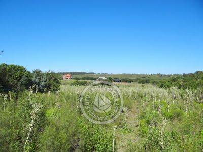 Terrenos Postales del Pittamiglio Las Flores