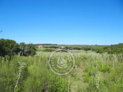 Terrenos Postales del Pittamiglio Las Flores