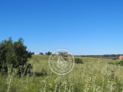 Terrenos Postales del Pittamiglio Las Flores