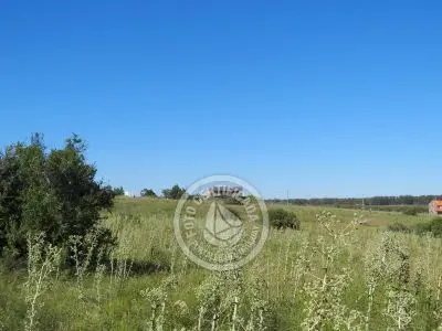 Terrenos Postales del Pittamiglio Las Flores