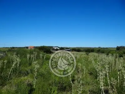 Terrenos Postales del Pittamiglio Las Flores