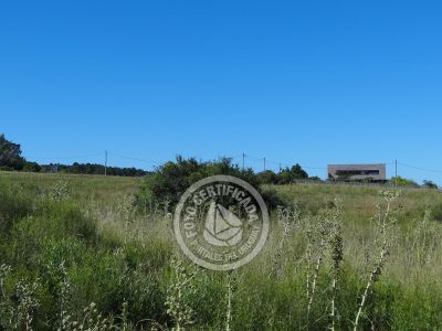 Terrenos Postales del Pittamiglio Las Flores