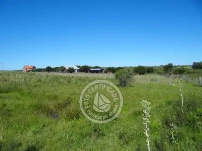 Terrenos Postales del Pittamiglio Las Flores