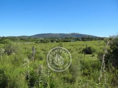 Terrenos Postales del Pittamiglio Las Flores