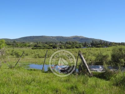 Terrenos Postales del Pittamiglio Las Flores