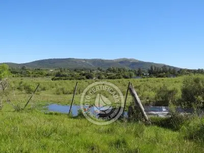 Terrenos Postales del Pittamiglio Las Flores