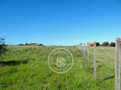 Terrenos Postales del Pittamiglio Las Flores