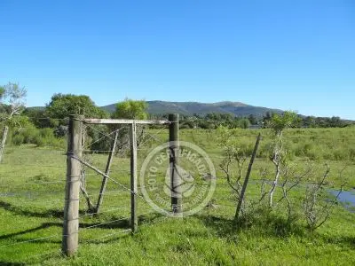 Terrenos Postales del Pittamiglio Las Flores