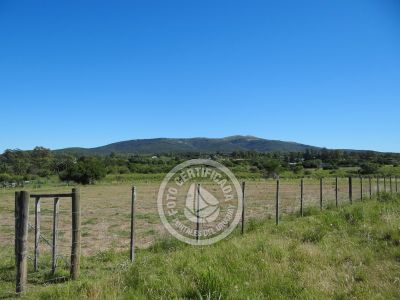 Terrenos Postales del Pittamiglio Las Flores