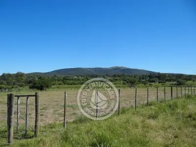 Terrenos Postales del Pittamiglio Las Flores