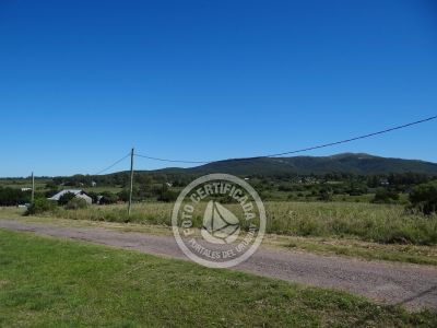 Terrenos Postales del Pittamiglio Las Flores