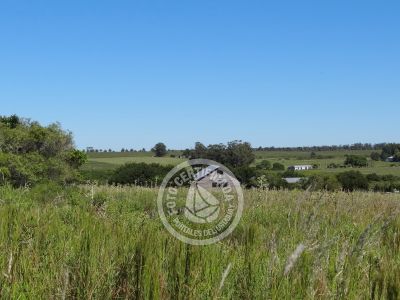 Terrenos Postales del Pittamiglio Las Flores