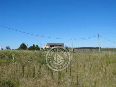 Terrenos Postales del Pittamiglio Las Flores